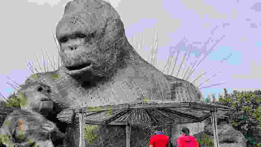 Wooden King Kong and his family