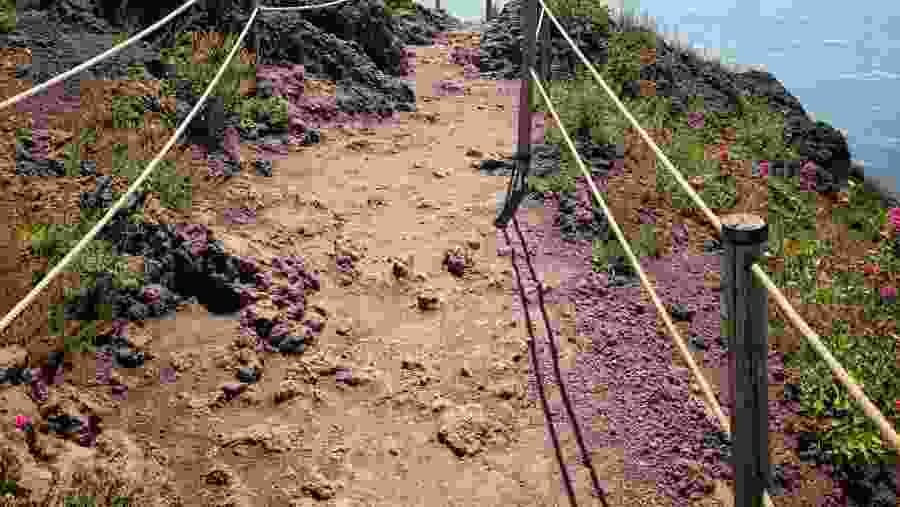 Vesuvio National Park