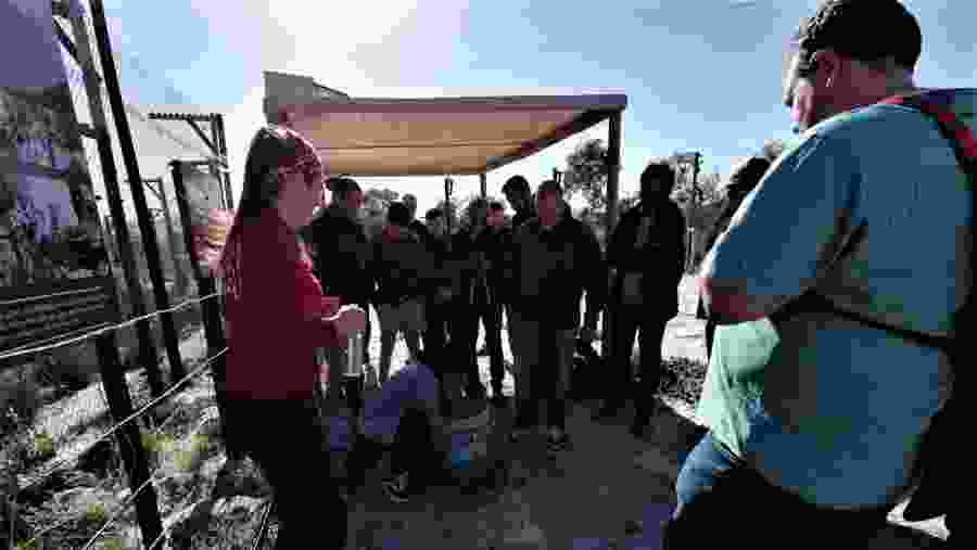 Listening to the Guide