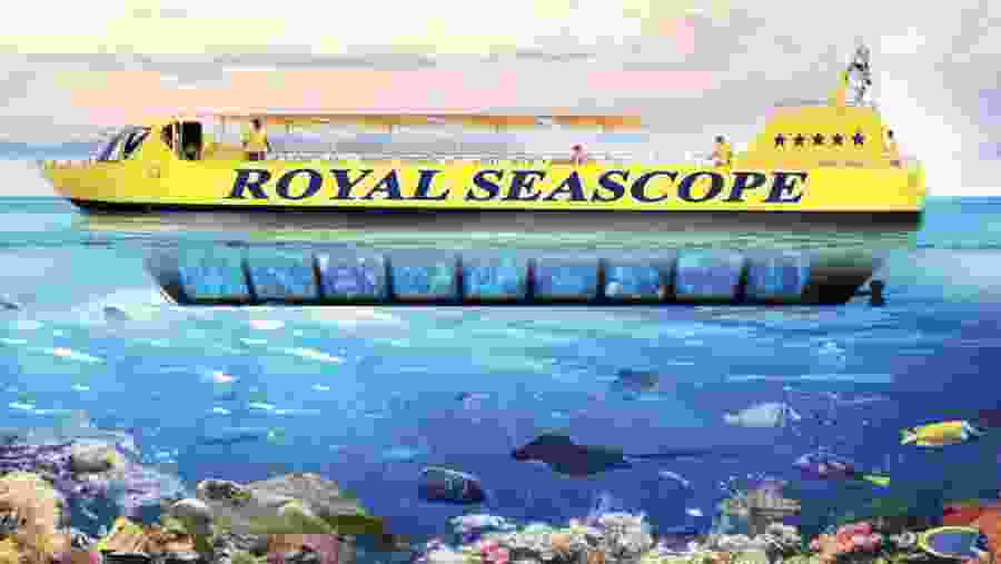 Travellers in the Red Sea