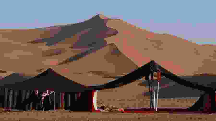 Camp amidst the sand dunes in Diabo Oases of Morocco