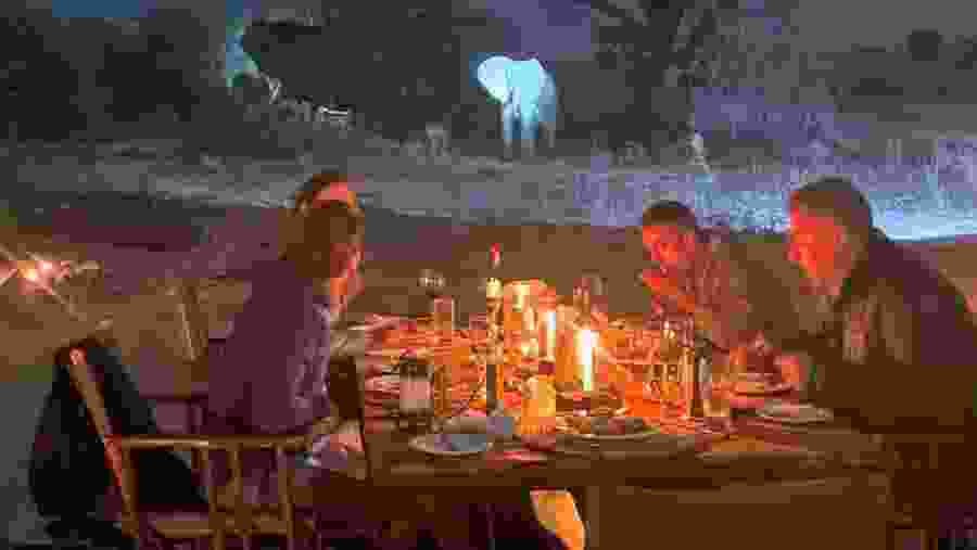 Enjoy a memorable safari amongst the diverse wildlife at Lake Manyara National Park