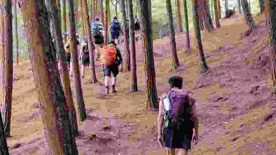 Travelers in Lushoto