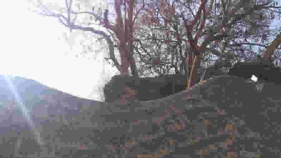 Cemetery of Martyrs of Badr