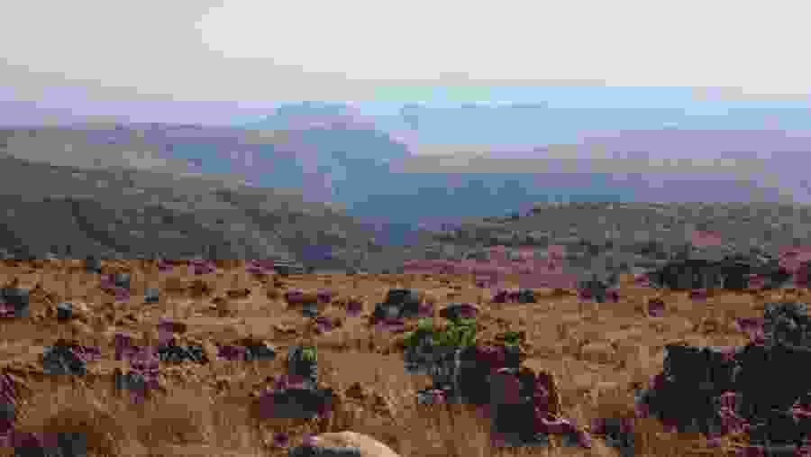 The endless plains