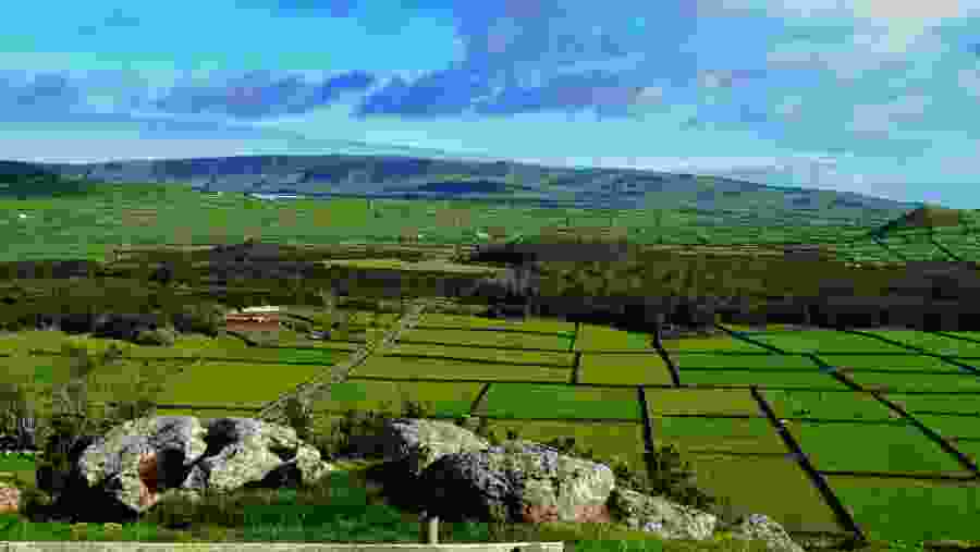 Lush Green Fields in Terceira Island