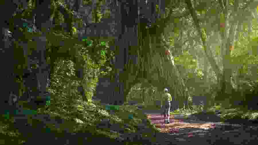 Scenic Trails