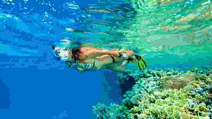 Snorkelling