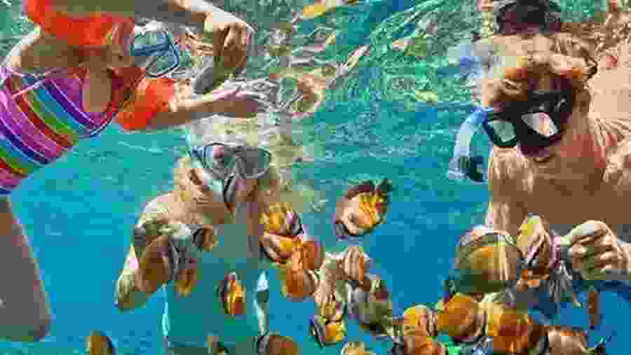 Snorkeling in Blue Lagoon