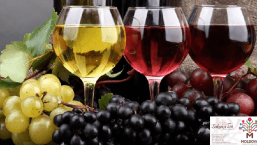 Wine Tour to Orhei, Moldova