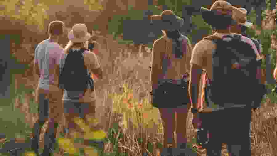 Tanzania Walking Safari