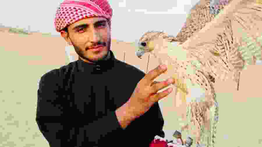 Photograph Opportunity with an Eagle