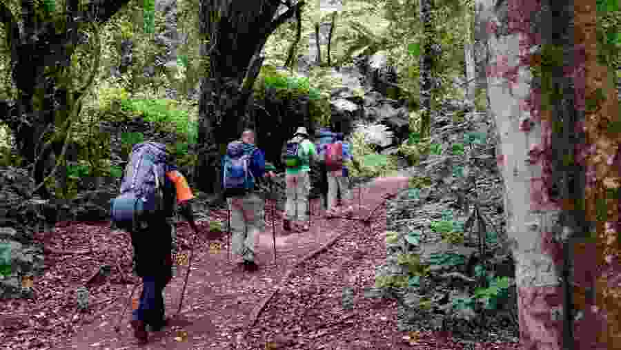 Trek through Mt Kilimanjaro