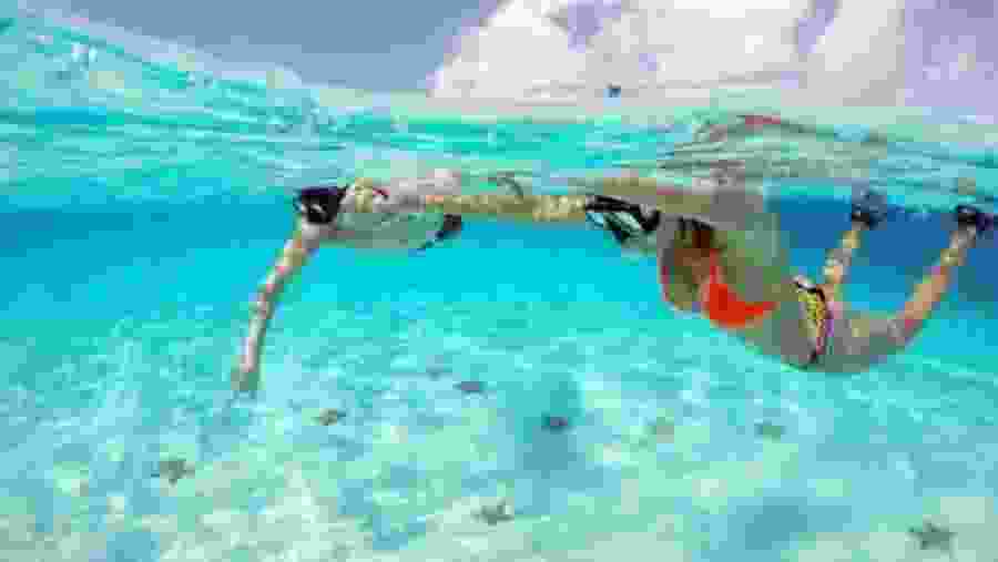 Travellers swimming in the Red Sea