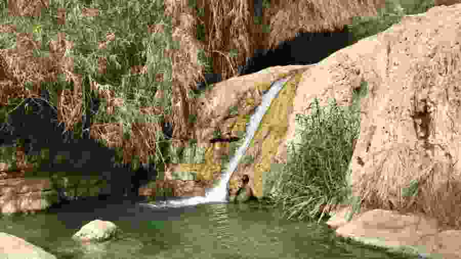 Waterfall in Ein Gedi