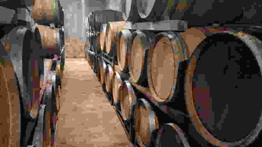 Maturing wine in barrel