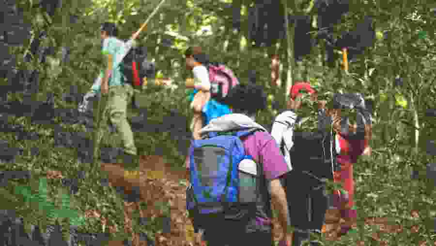 Hiking in the Amazons