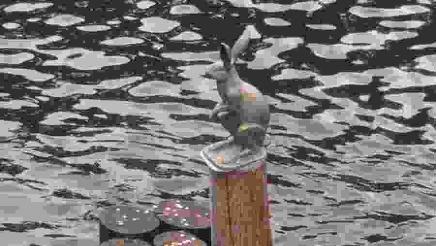 Rabbit Statue In Peter and Paul’s Fortress, Saint Petersburg