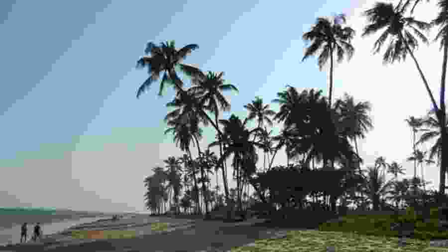 Beach and palmtrees