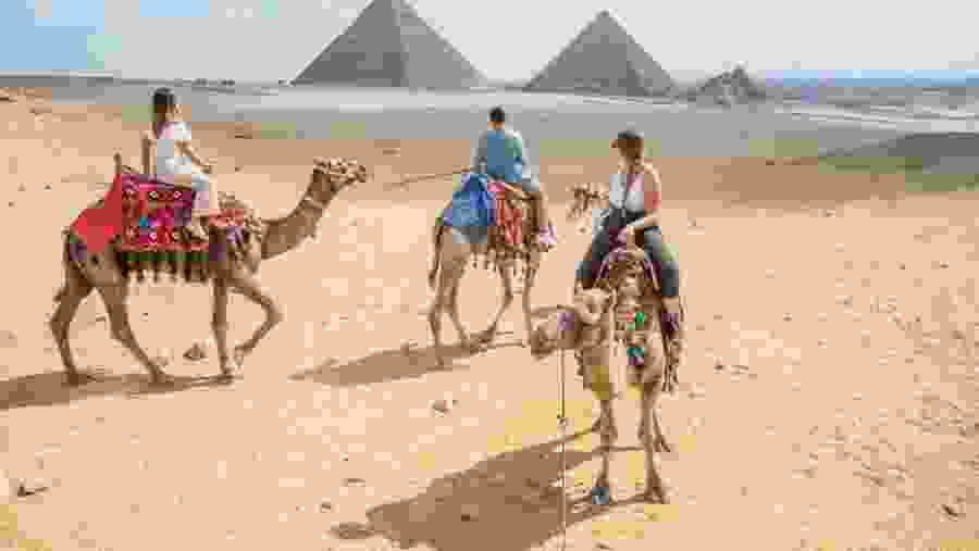 Travelers camel riding at the Giza Necropolis