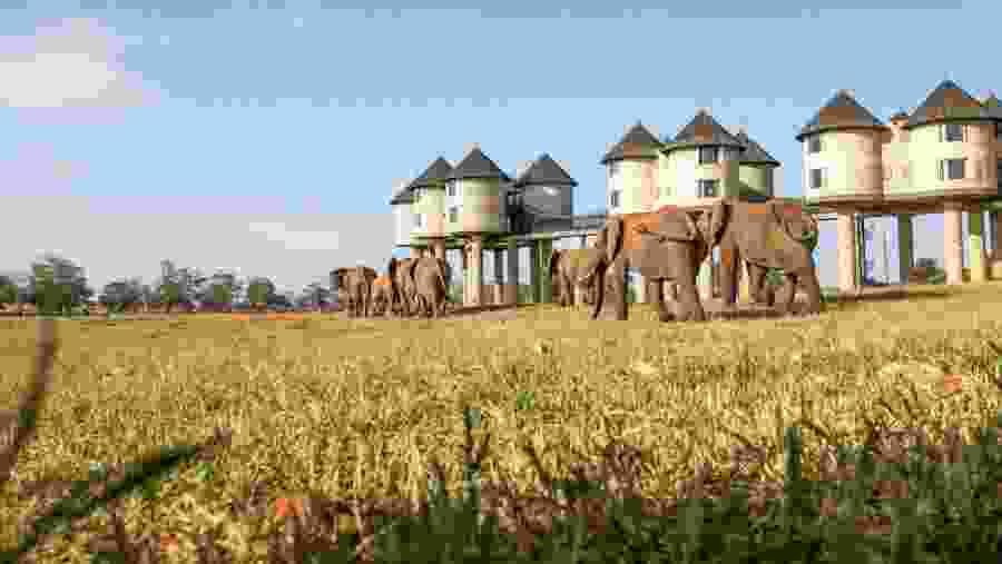 Taita Hills Wildlife Sanctuary