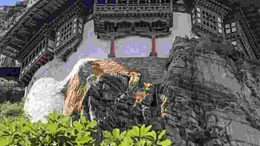 Explore Bhutanese architecture