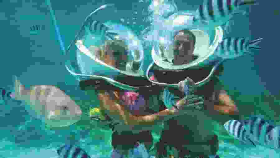 Underwater Adventure in Ile aux Cerfs island