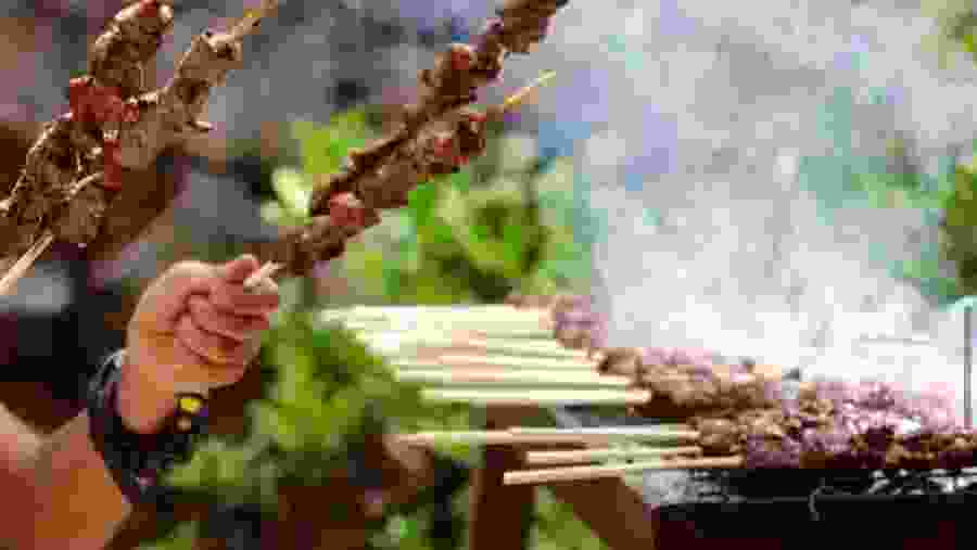 Grilled meat sticks