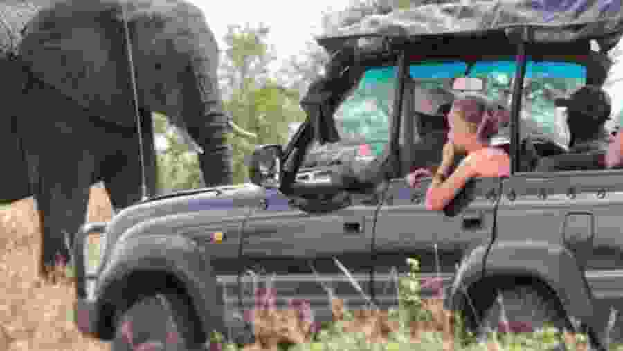 Embark on a fun jeep safari with up close animal experiences