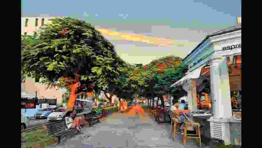 Rothschild Boulevard