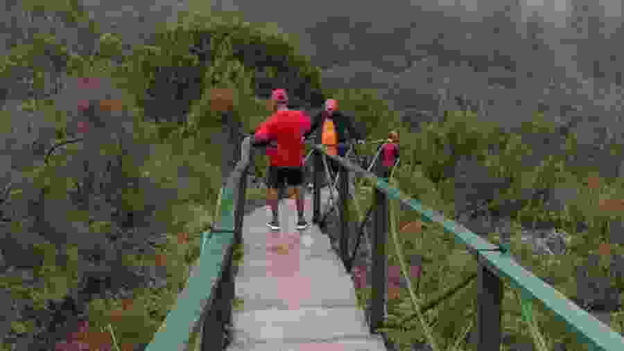 4-Day Trekking Adventure in Magamba Rainforest and Usambara Mountains