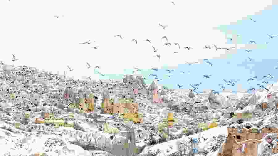 Explore historical sights