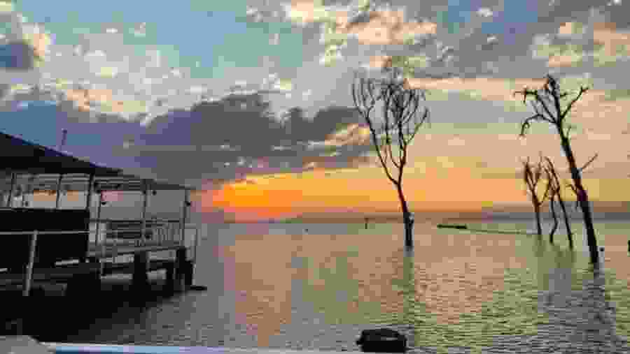 Kenyan Coast Explorer