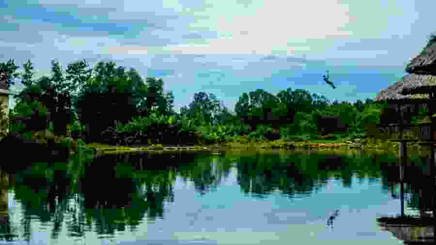 Longest Zip-Line In Hue, Vietnam