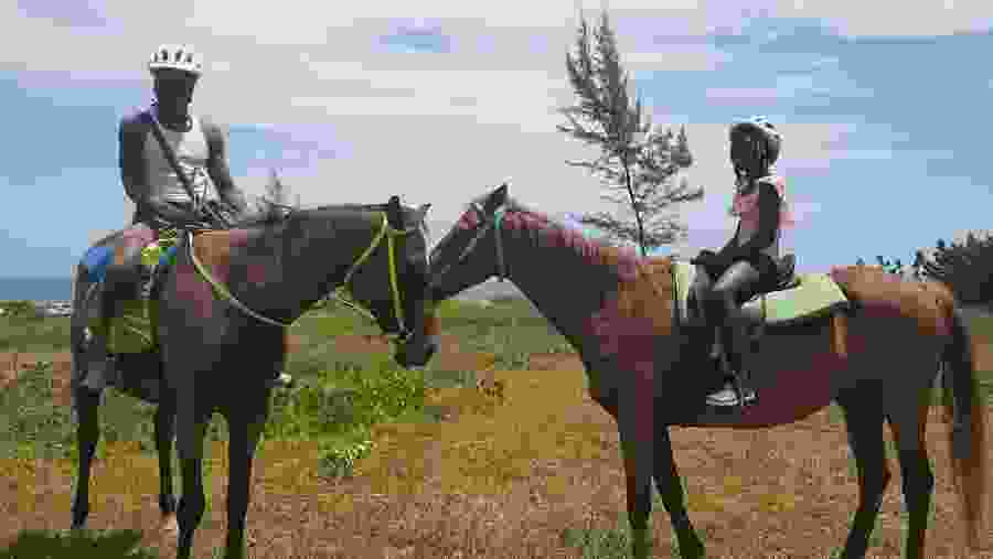 Marvel at a unique horse riding experience