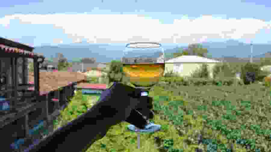 Twins Cellar, Georgia