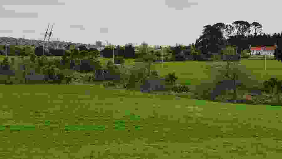 Barry Curtis Park
