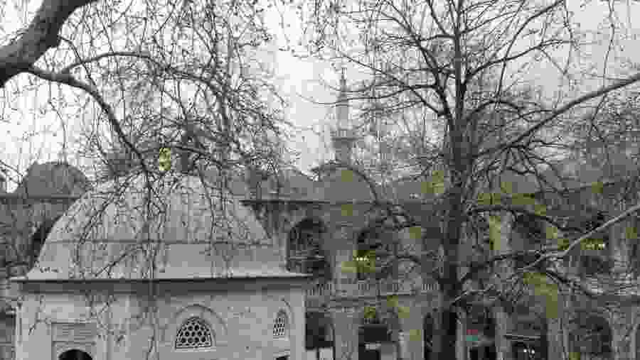 Picture of Bursa
