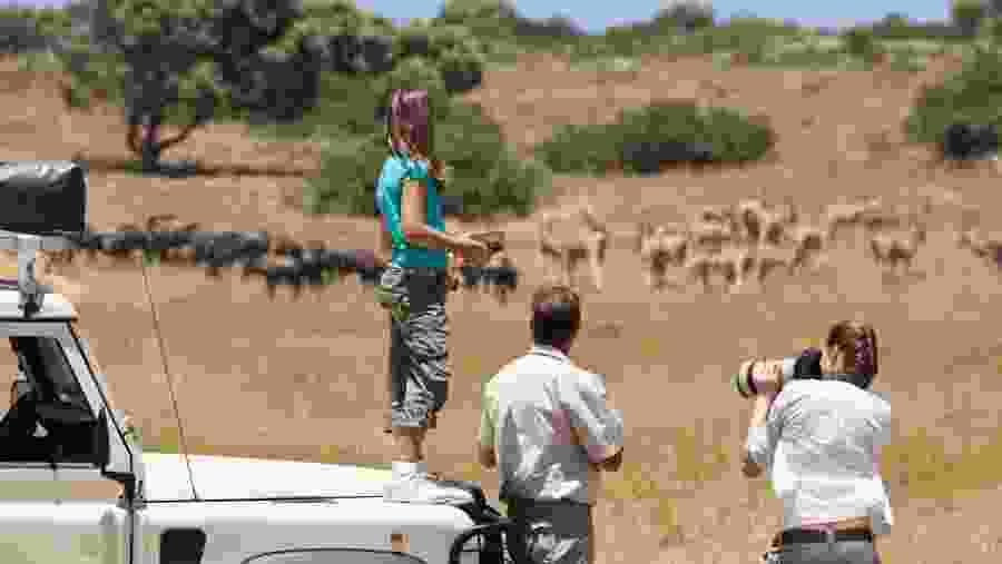 Safari in Maasai Mara