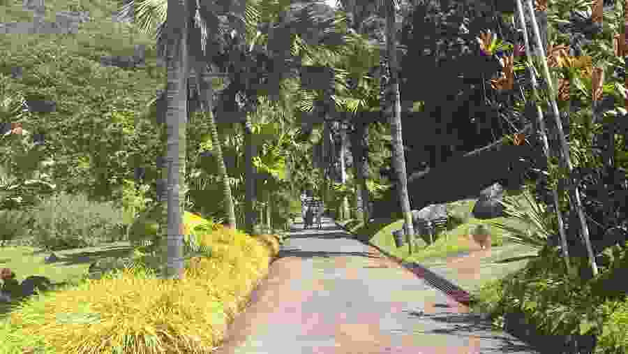 Botanical Gardens in Victoria