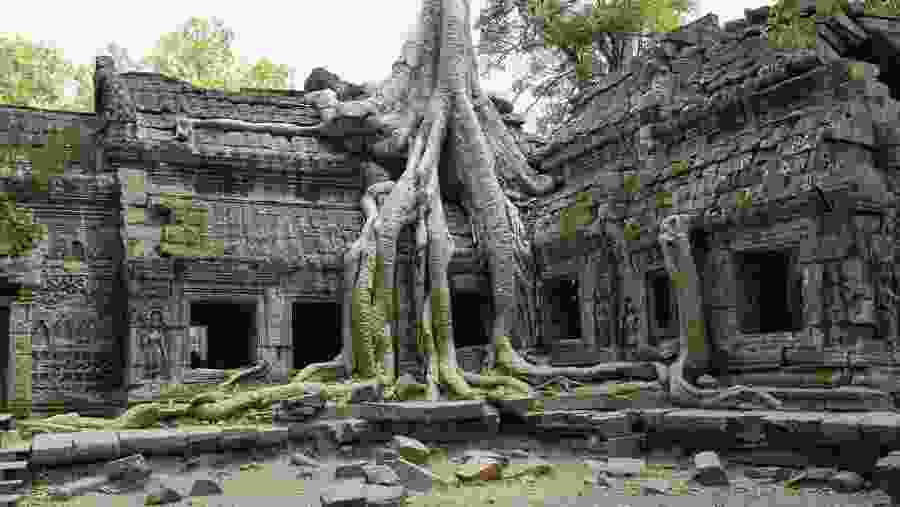 Ta Prohm