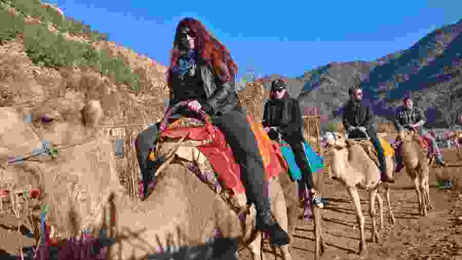 Camel ride
