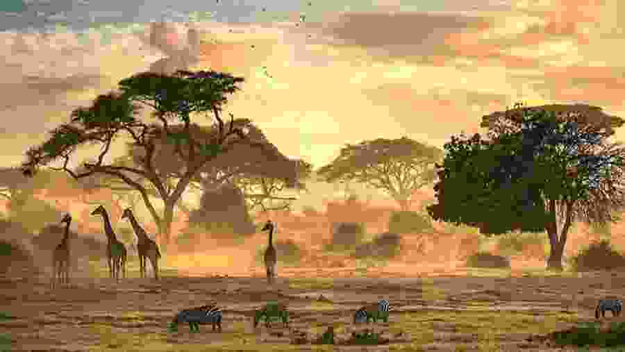 Tarangire National Park