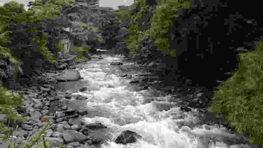 Pance River Cali