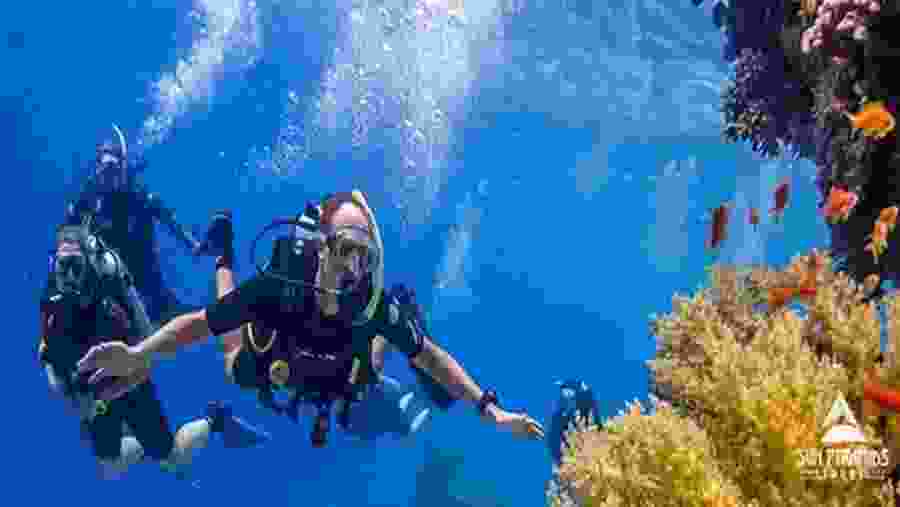 Diving at tiran island