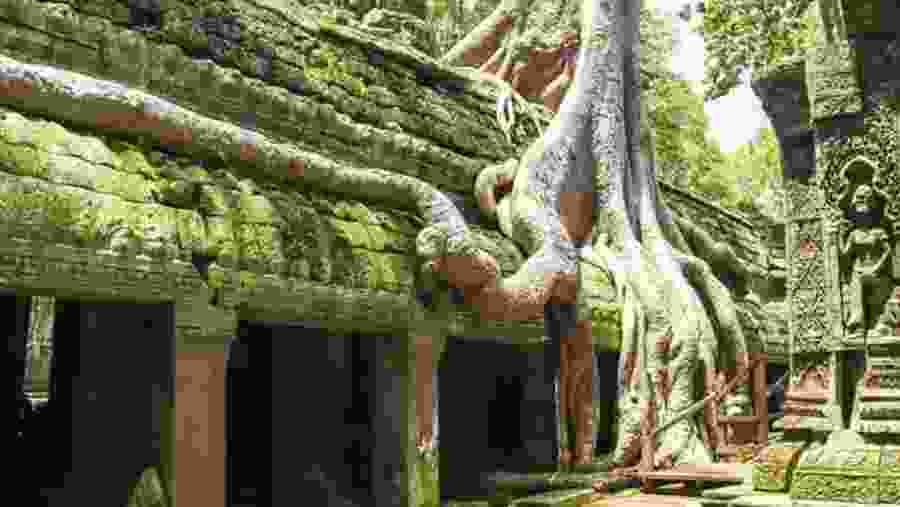 Ta Prohm Temple
