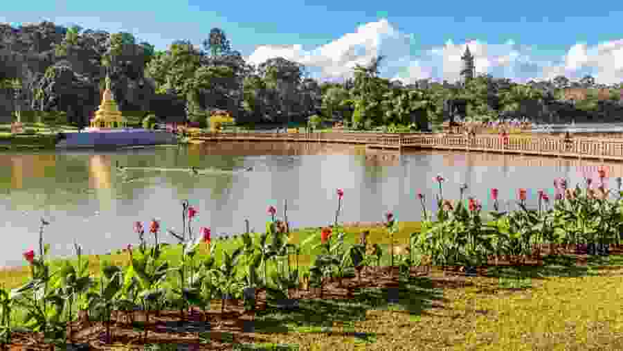 National Kandawgyi Gardens