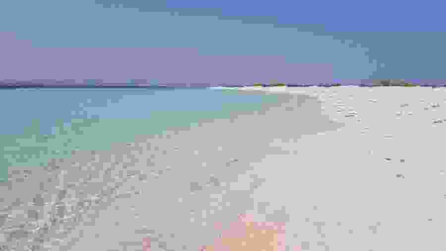 Wadi el Gemal Reserve