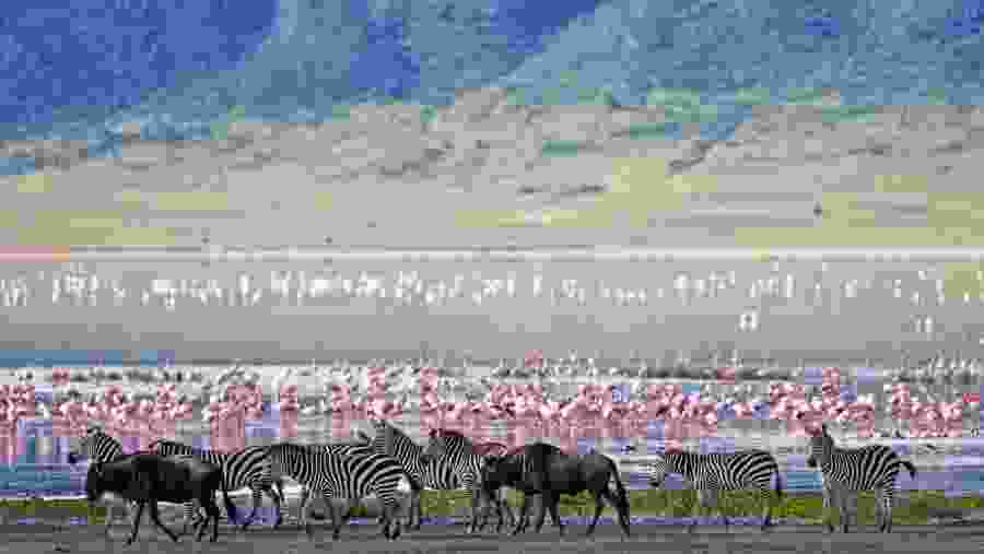 NGORONGORO CRATER