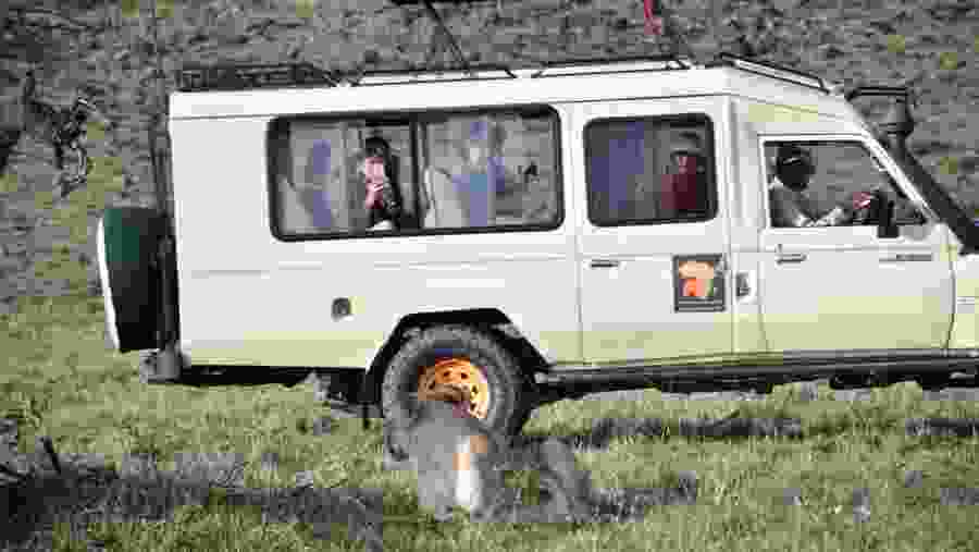Travellers in the Maasai Mara National Reserve